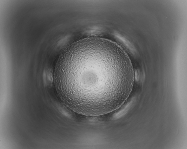 X0000111681155200907241227