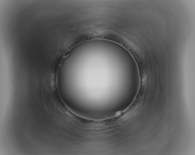 X0000111681156200907241227