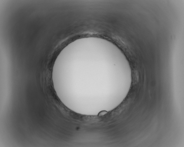 X0000111681158200907241227