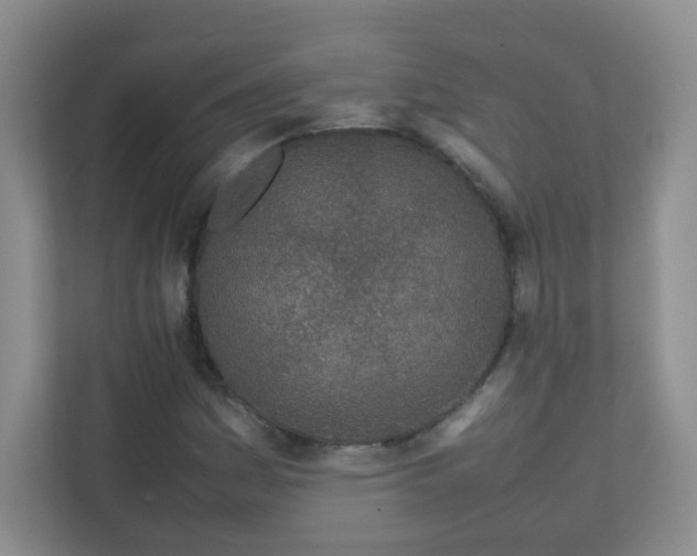 X0000111681161200907241227