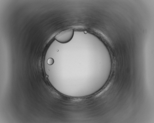 X0000111681162200907241227