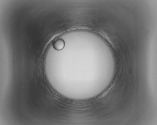 X0000111681165200907241227