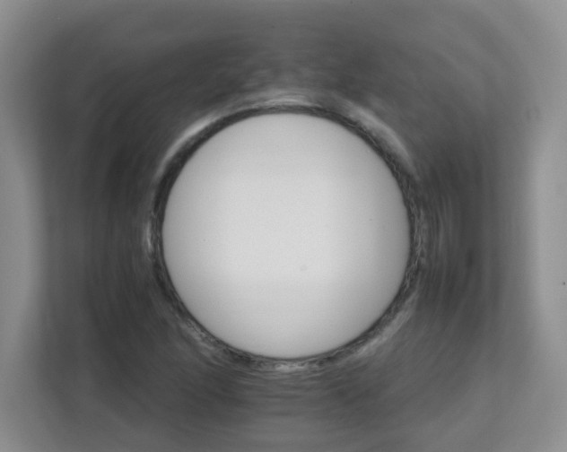 X0000111681166200907241227