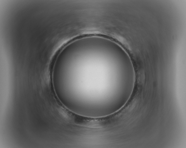 X0000111681167200907241227