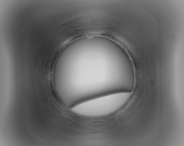 X0000111681169200907241227