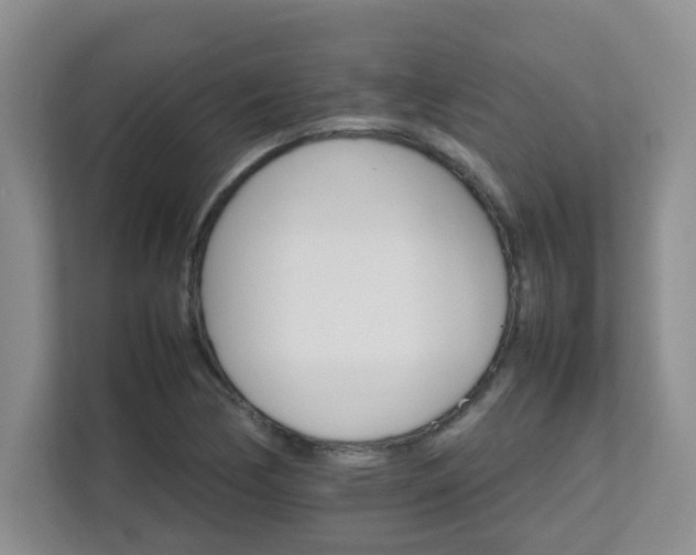 X0000111681170200907241227