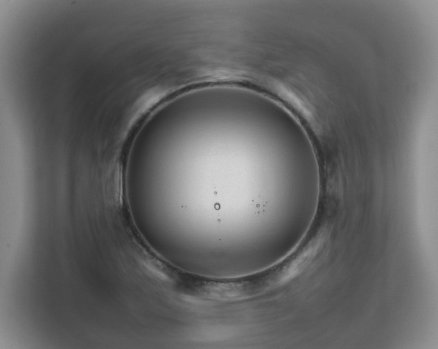 X0000111681171200907241227