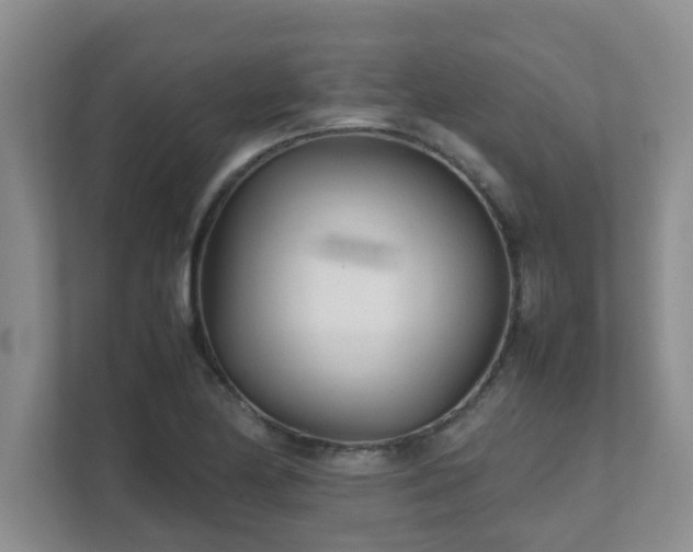 X0000111681174200907241227