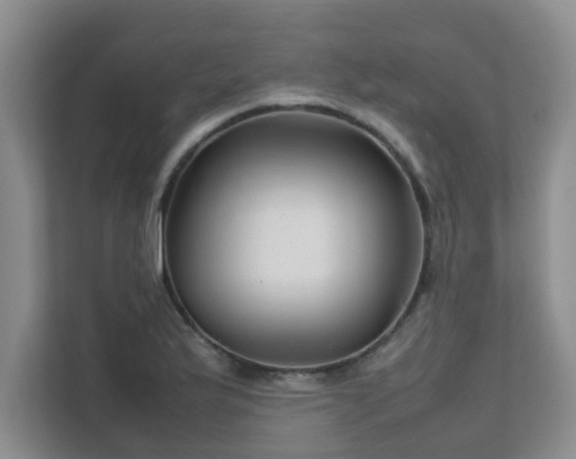 X0000111681175200907241227