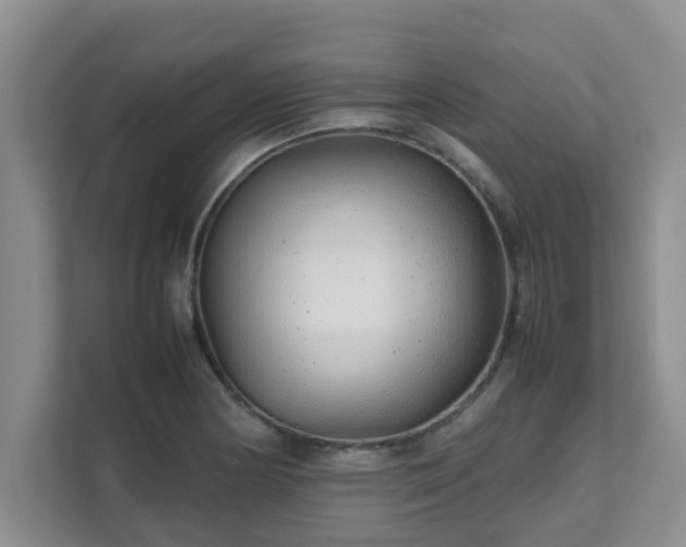 X0000111681178200907241227