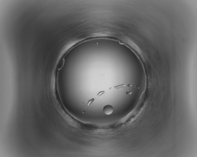 X0000111681179200907241227