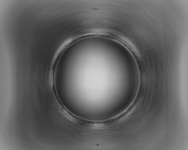 X0000111681180200907241227