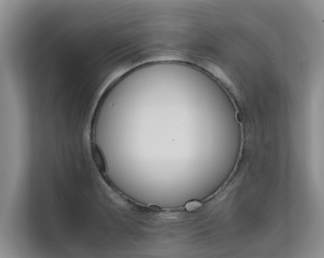 X0000111681181200907241227