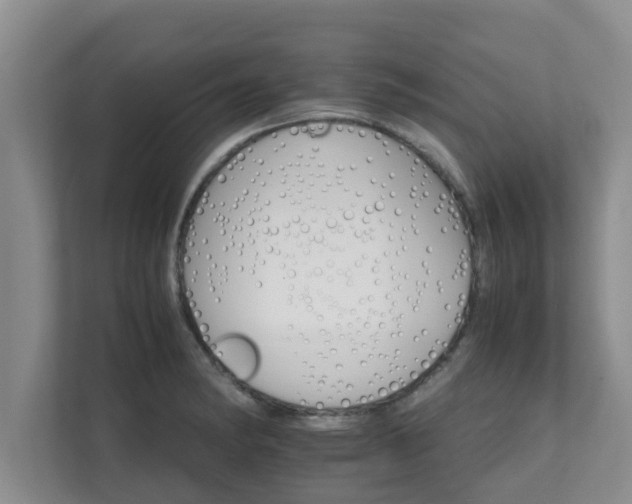 X0000111681182200907241227