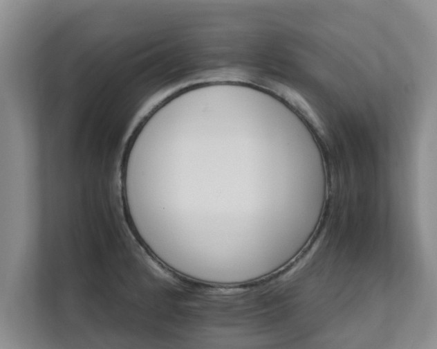 X0000111681184200907241226