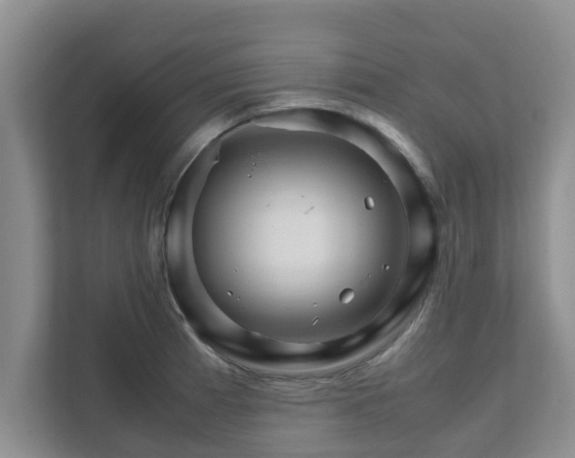 X0000111681185200907241226