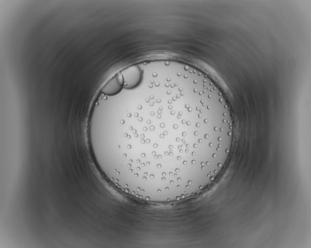 X0000111681186200907241226