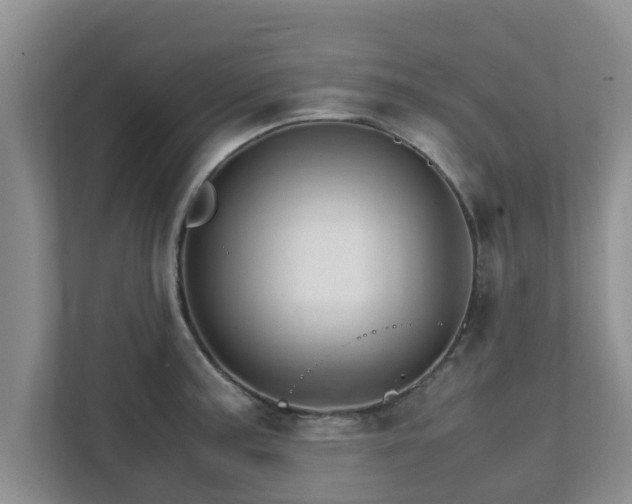 X0000111681187200907241226