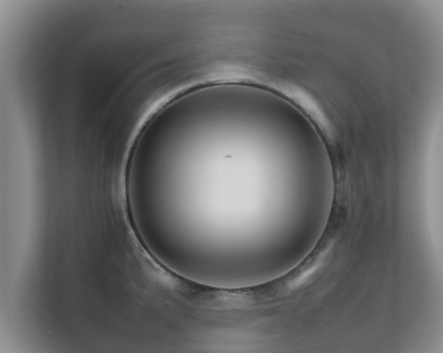 X0000111681191200907241226