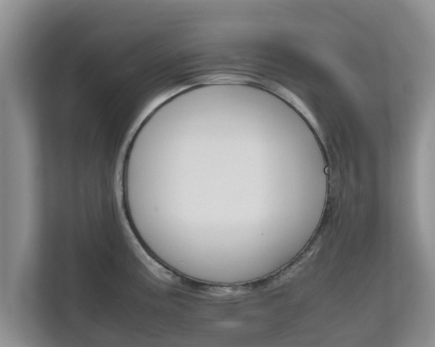 X0000111681195200907241226