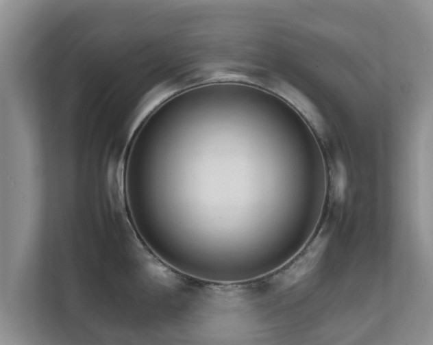 X0000111681198200907241226