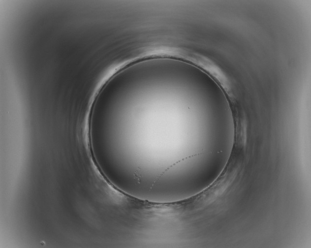 X0000111681199200907241226