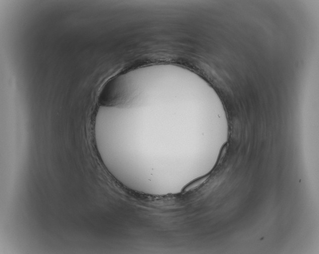 X0000111681201200907241226