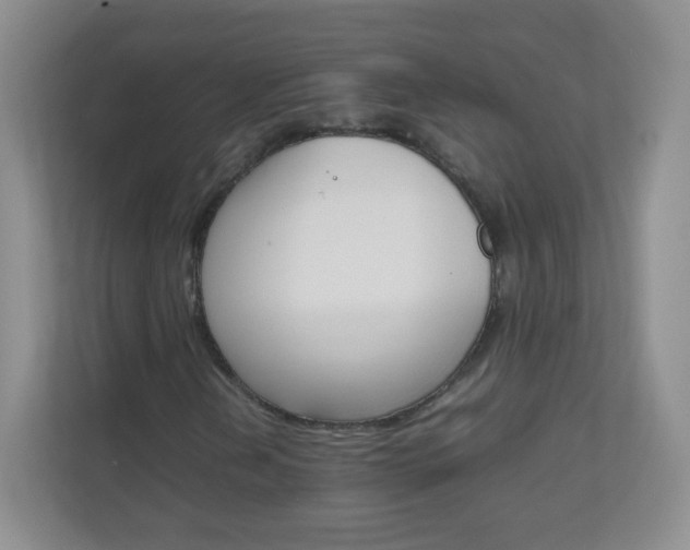 X0000111681202200907241226