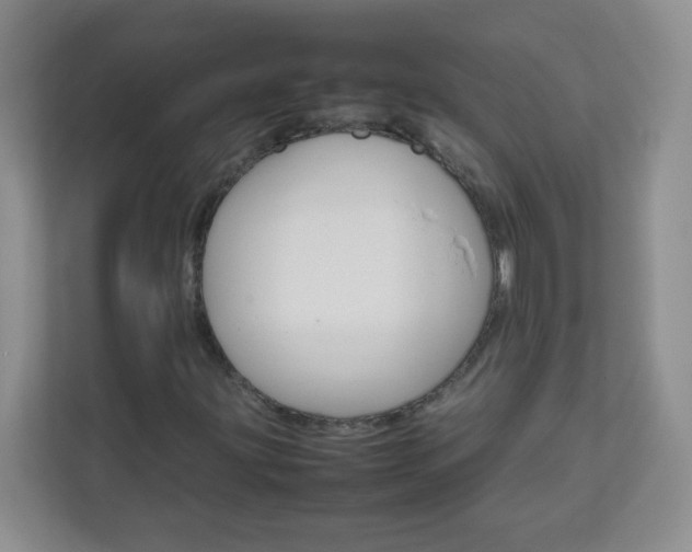 X0000111681203200907241226