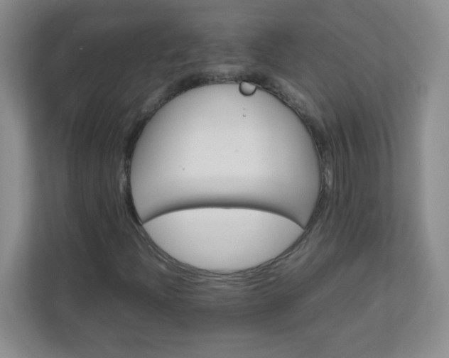 X0000111681204200907241226