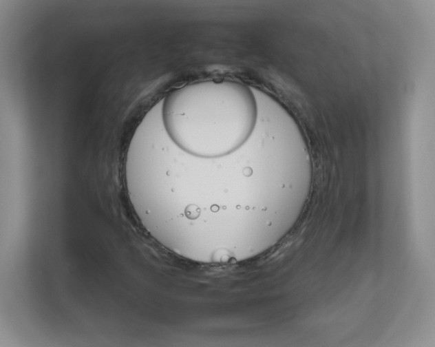 X0000111681205200907241226