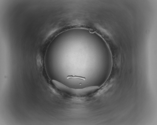 X0000111681206200907241226