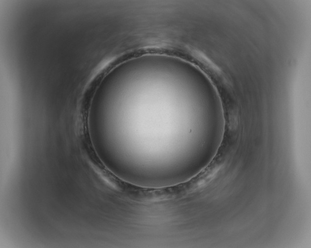 X0000111681208200907241226