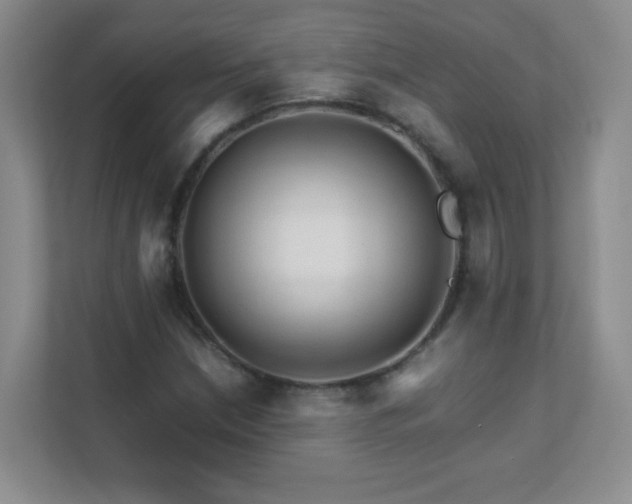 X0000111681210200907241226