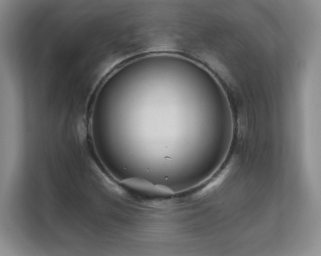 X0000111681212200907241226