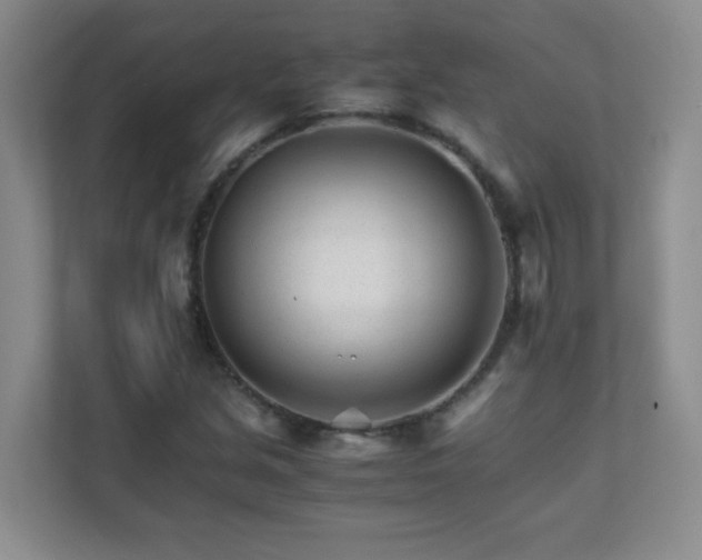 X0000111681213200907241226