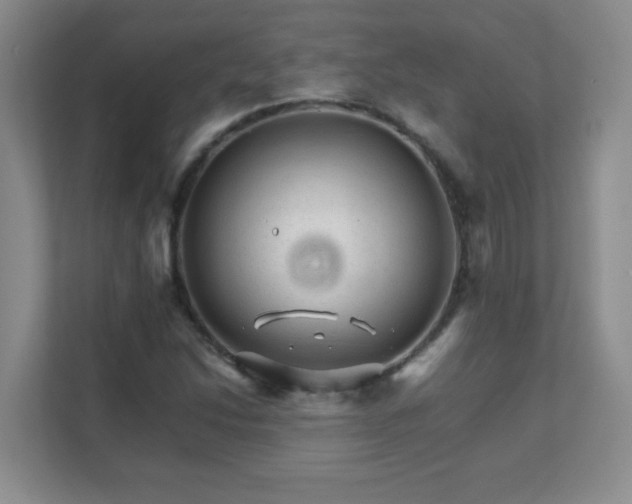 X0000111681214200907241226