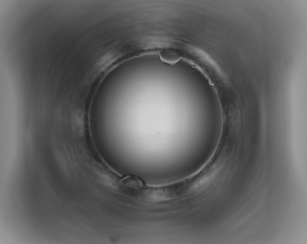 X0000111681217200907241226