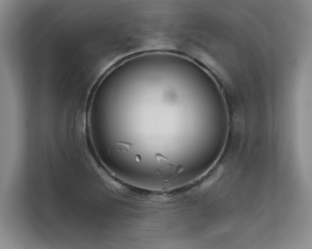 X0000111681220200907241226