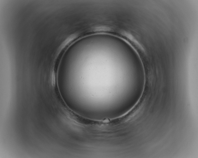 X0000111681221200907241226