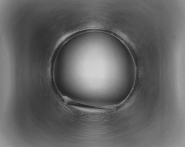 X0000111681222200907241226