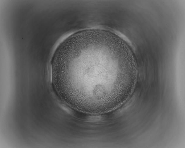 X0000111681223200907241226