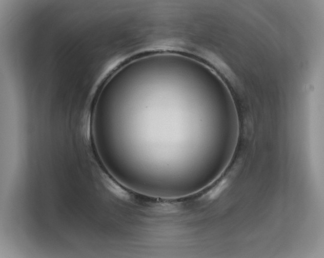 X0000111681224200907241226