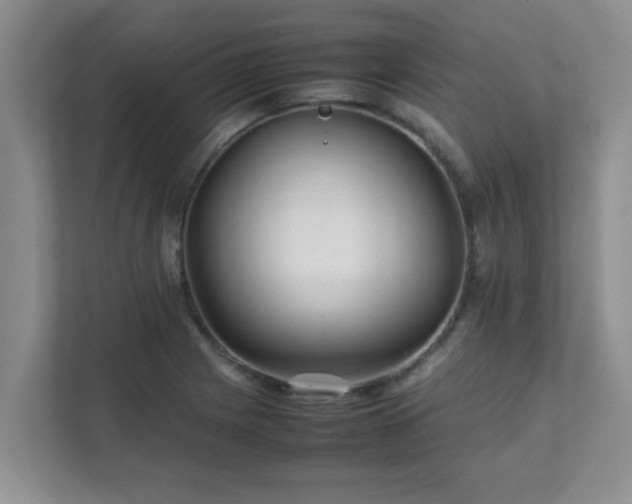 X0000111681225200907241226