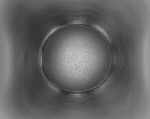 X0000111681227200907241226