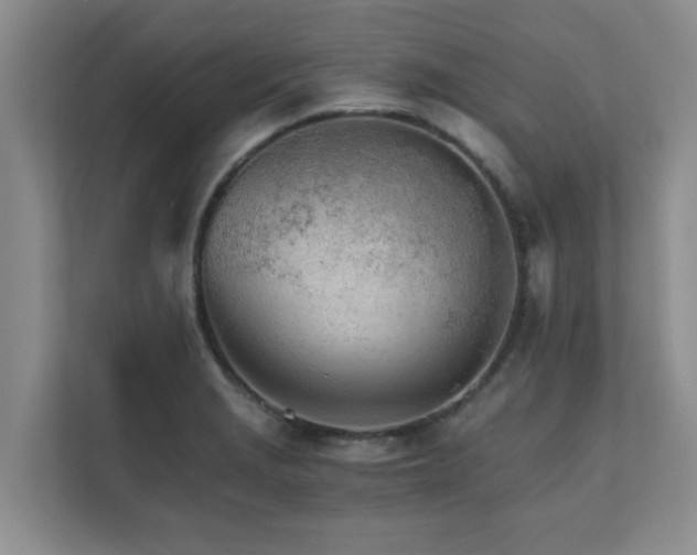 X0000111681229200907241226