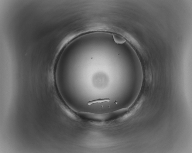 X0000111681230200907241226