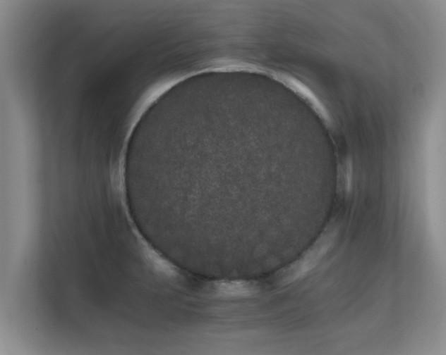 X0000111681231200907241226