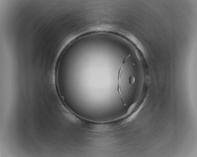 X0000111681232200907241226