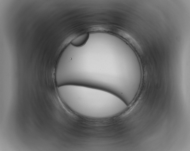 X0000111681233200907241226